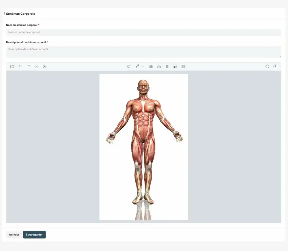 An anatomical body diagram in ayanaEHR, used to mark findings against a region rather than describe them in prose.